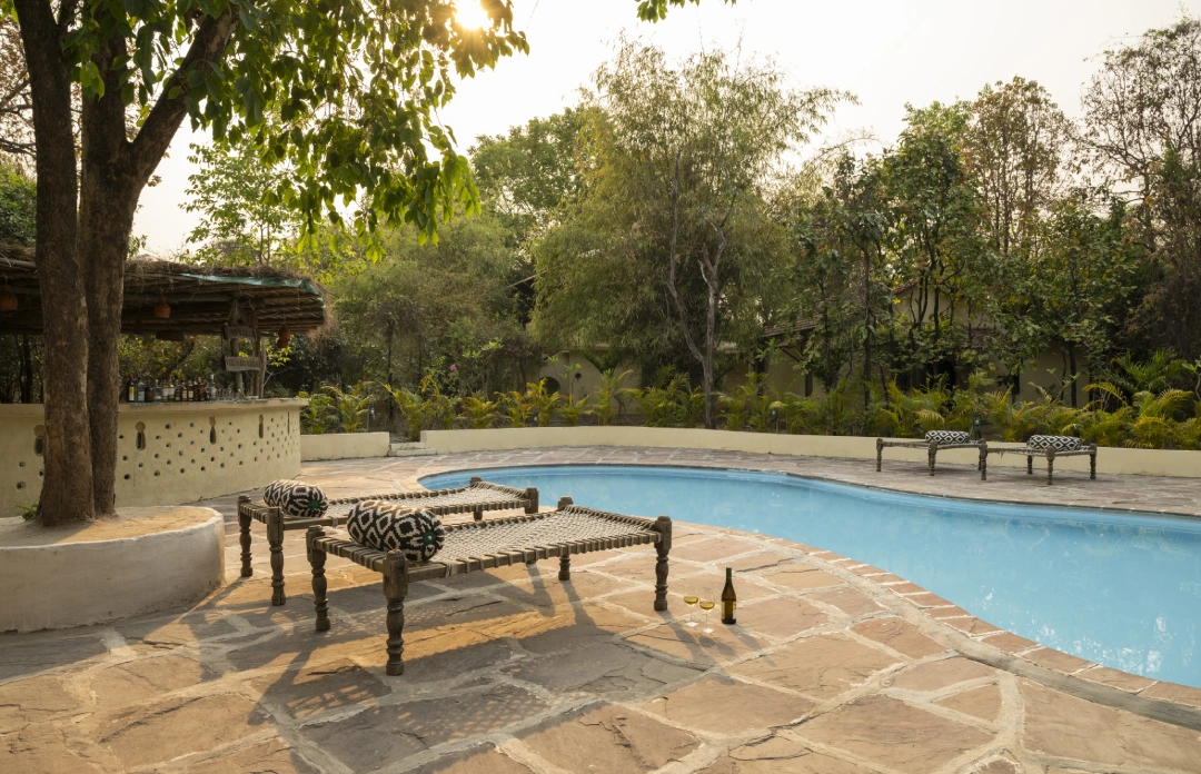 Outdoor swimming pool surrounded by trees and loungers