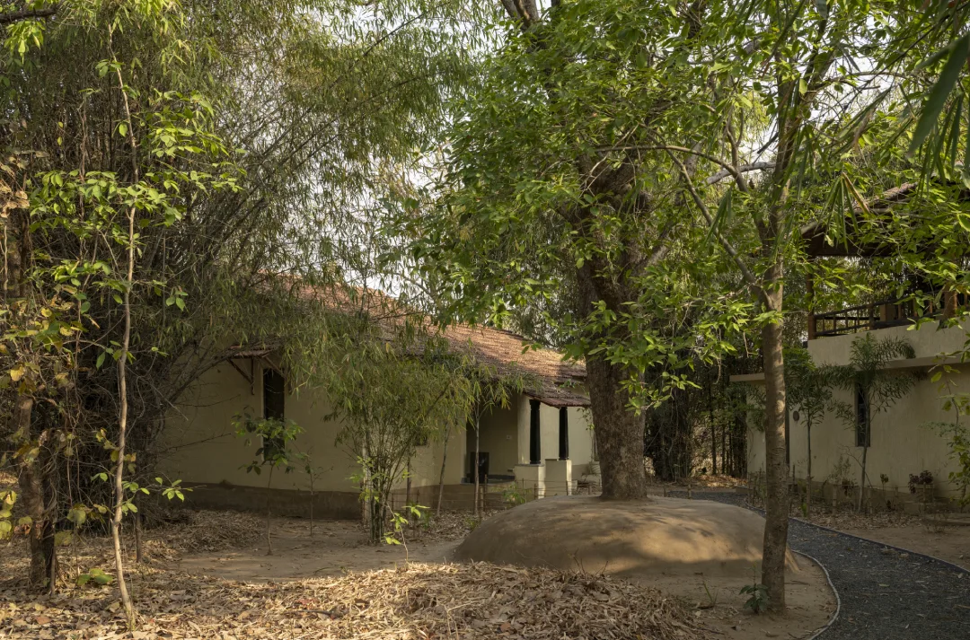 A lodge experience immersed in nature