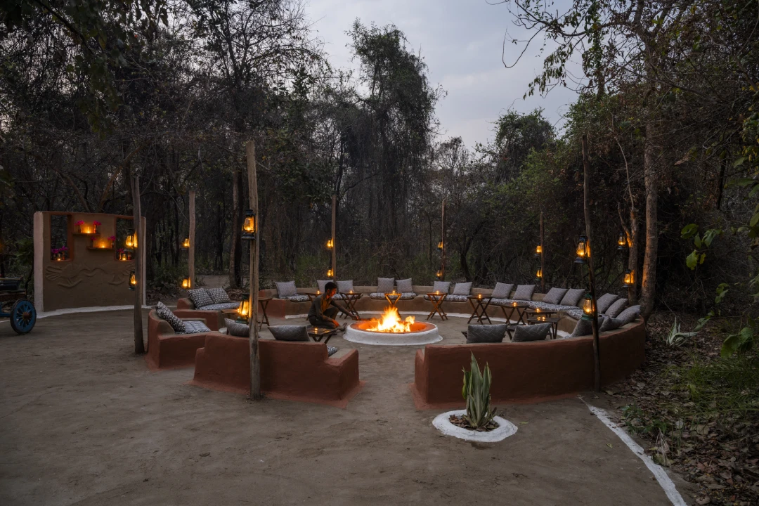 A memorable wilderness moment at Forsyth Lodge