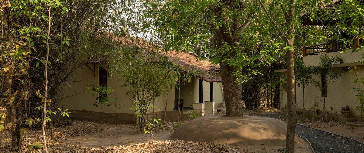 Gondia Cottage garden-facing room