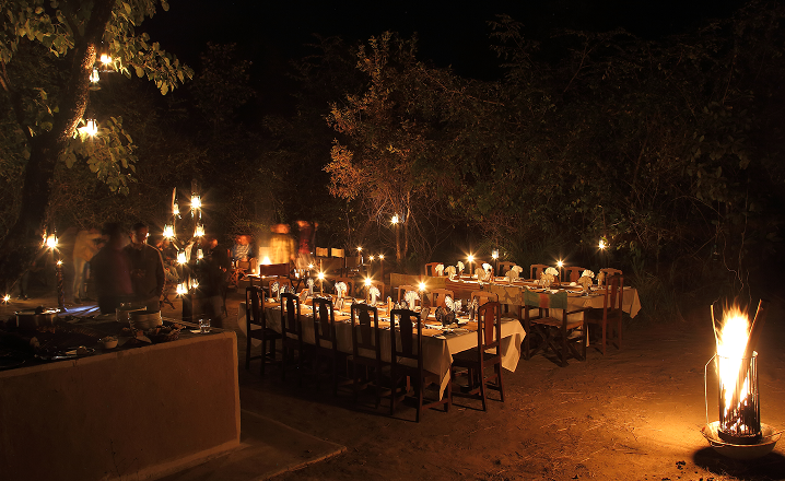 Bush dinner tables illuminated beneath the trees