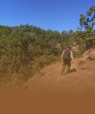 A guided nature walk through the Satpura forest