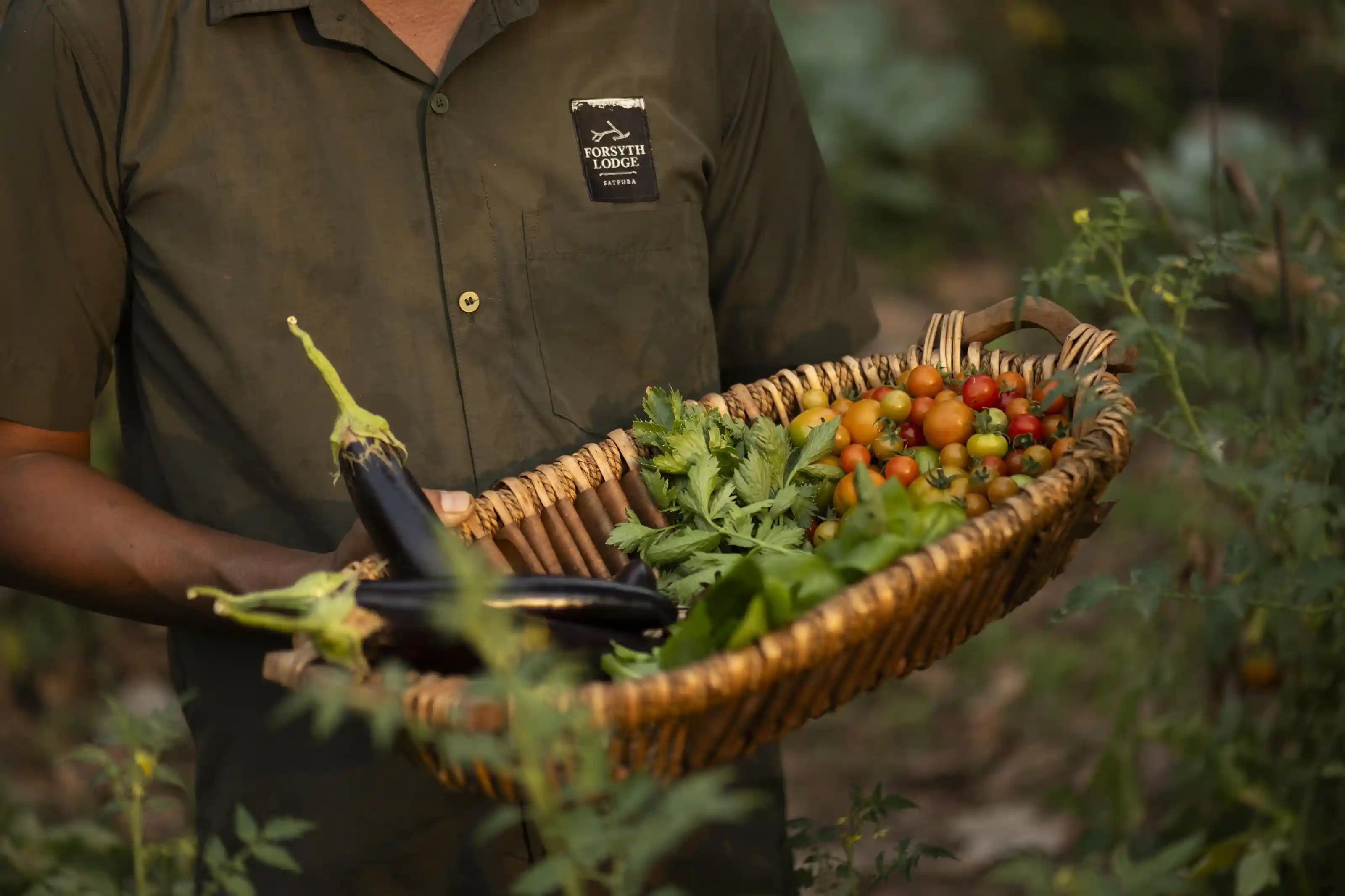 Forsyth Lodge kitchen garden harvest
