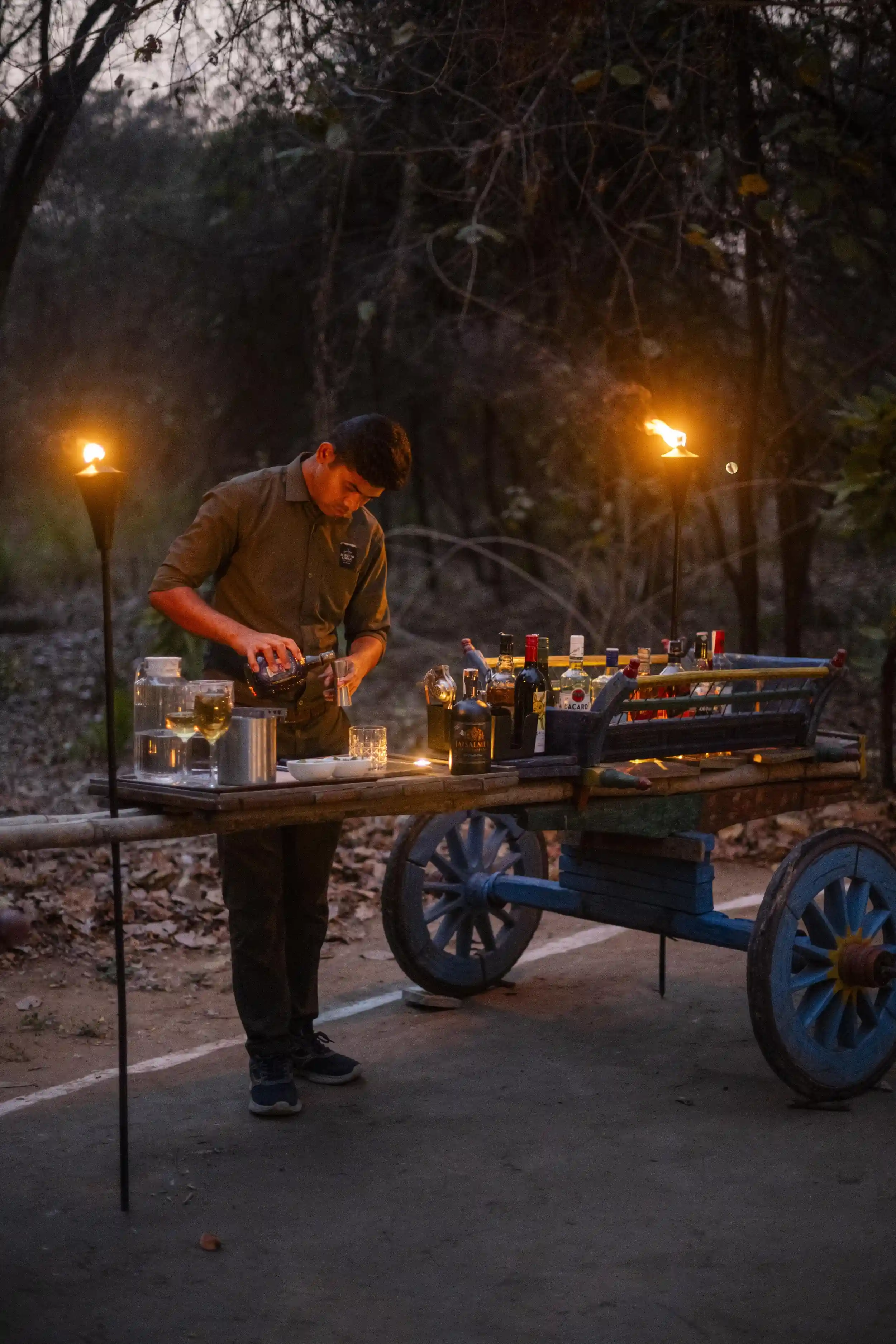 Evening bar service in the forest
