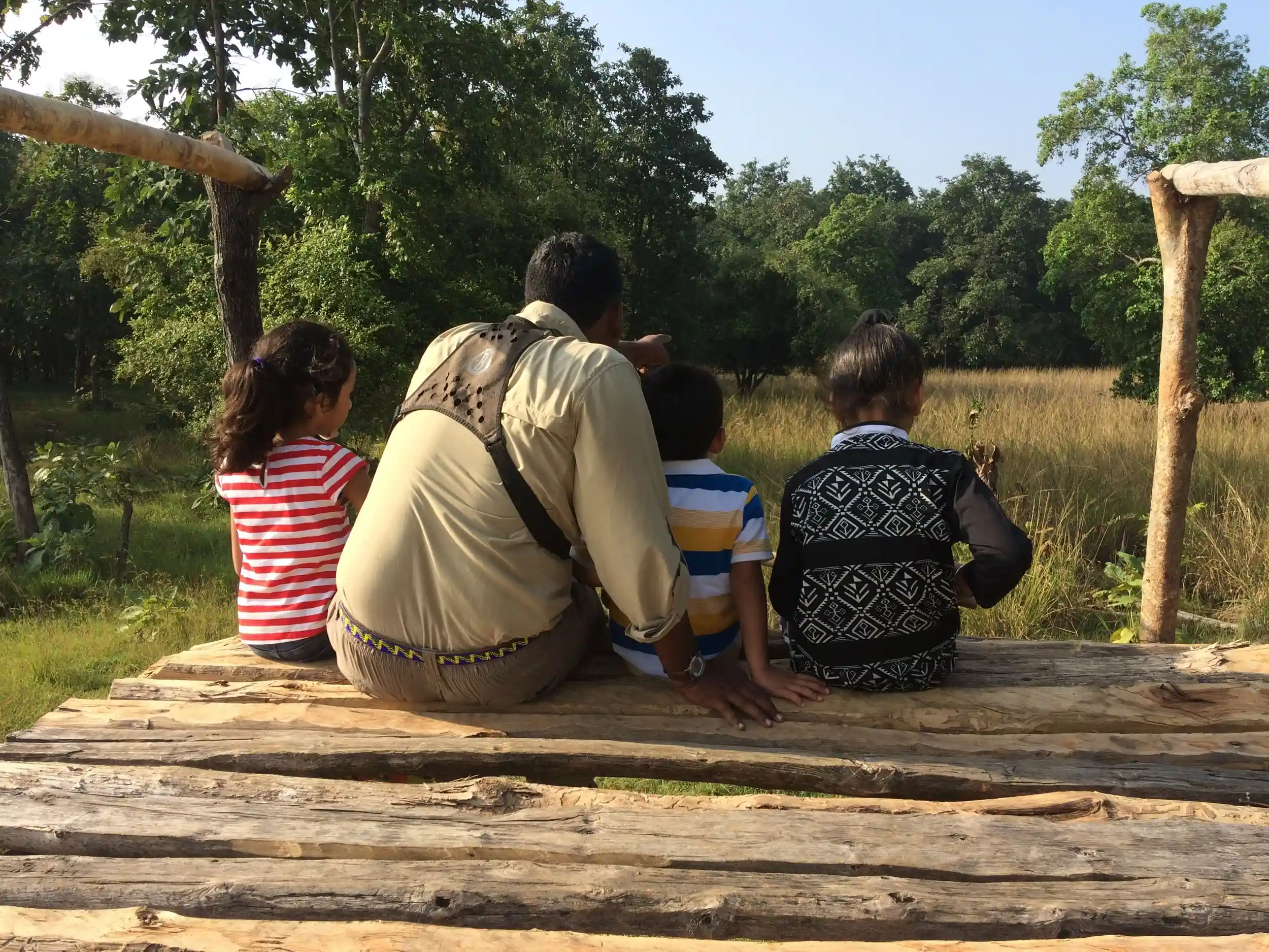 Family watching wildlife from a forest viewpoint