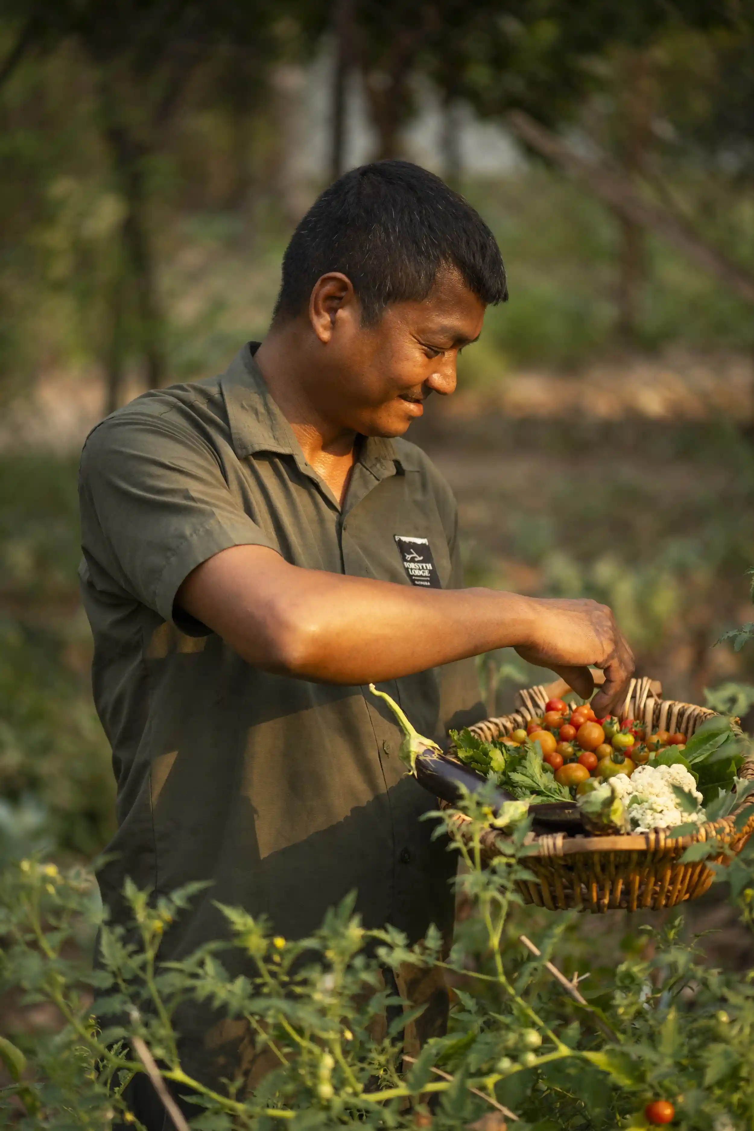 Lodge gardener gathering fresh vegetables