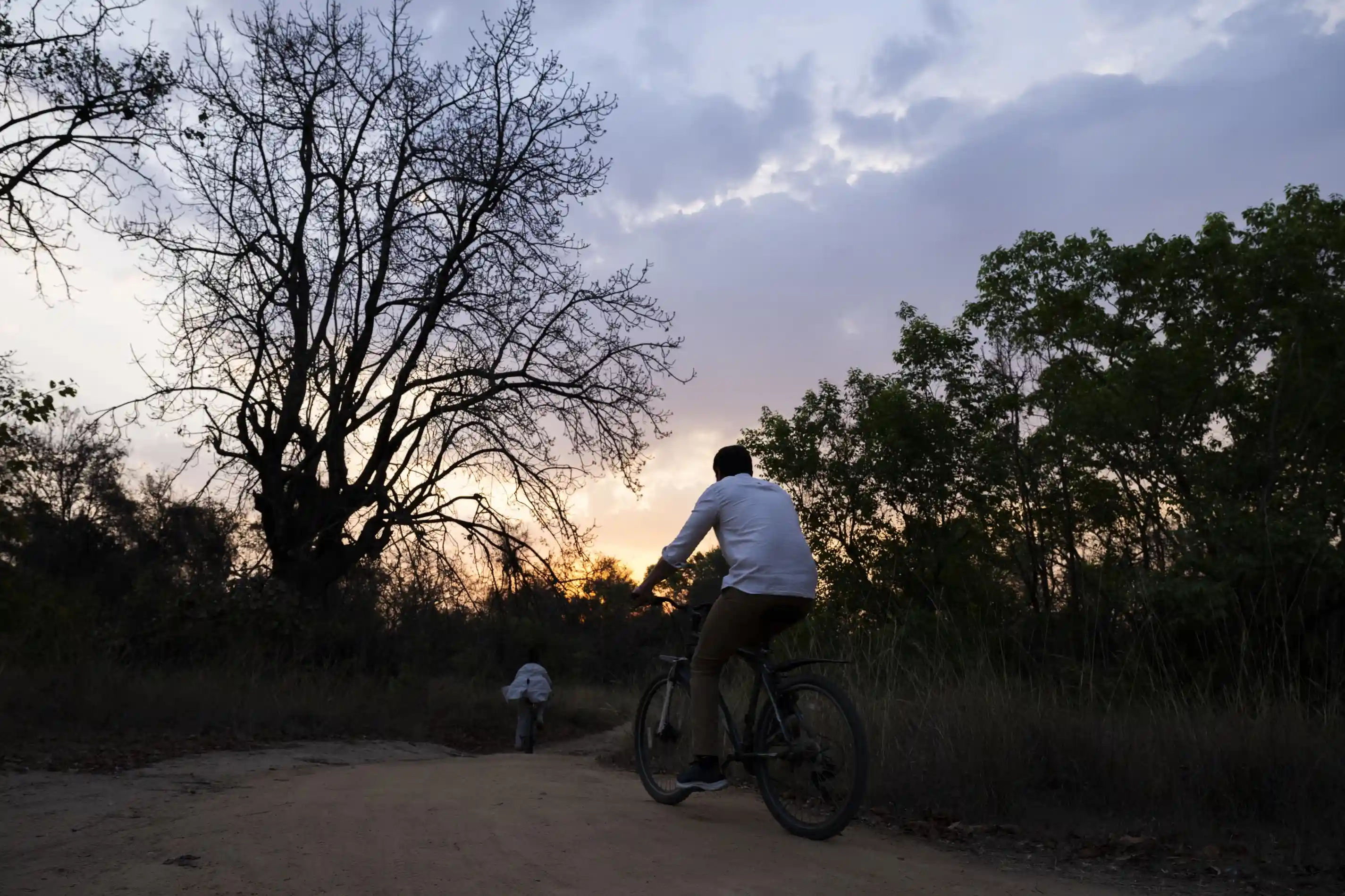 Cycling along a forest road at sunset