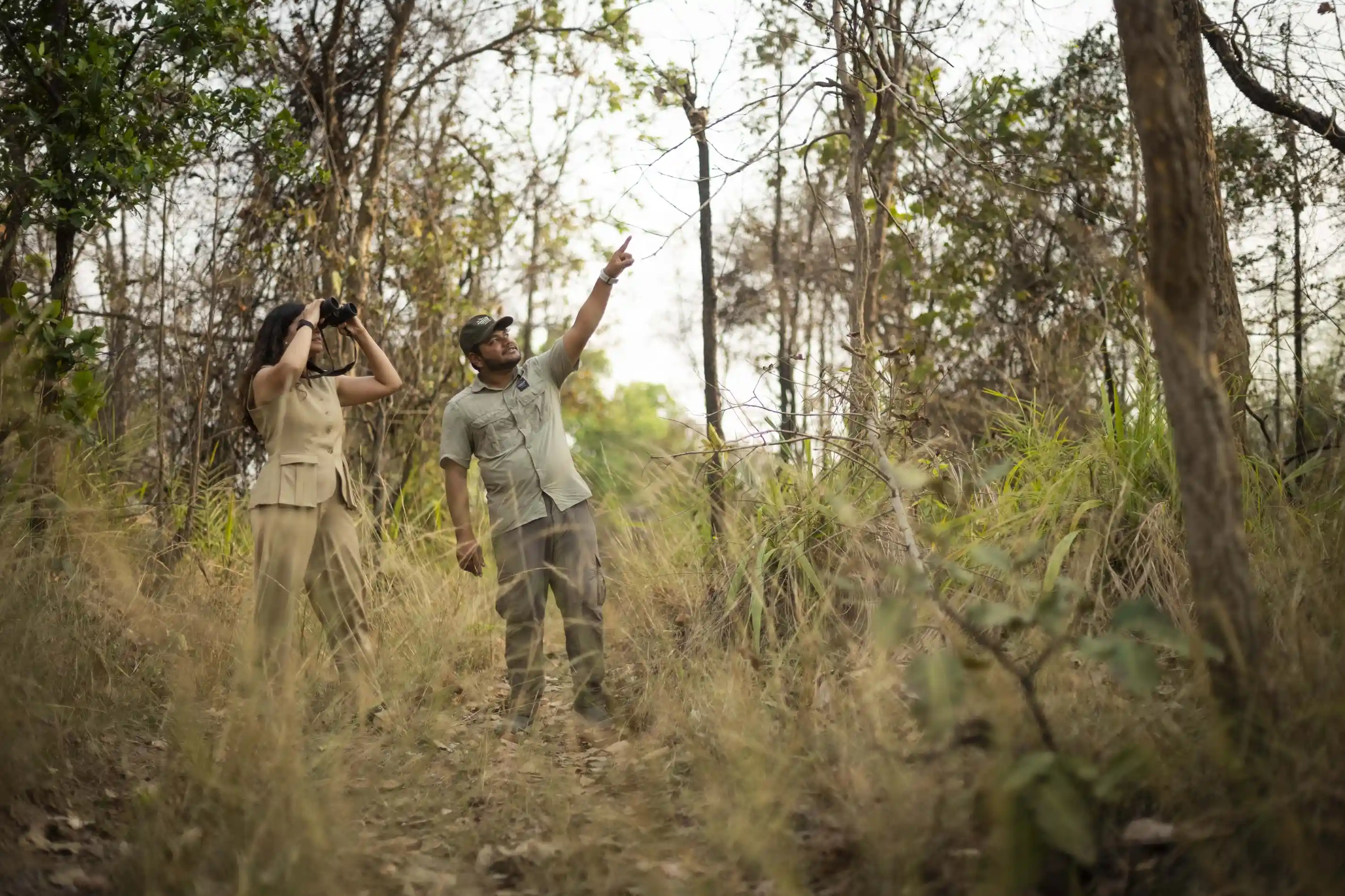 Guided birdwatching in Satpura forest