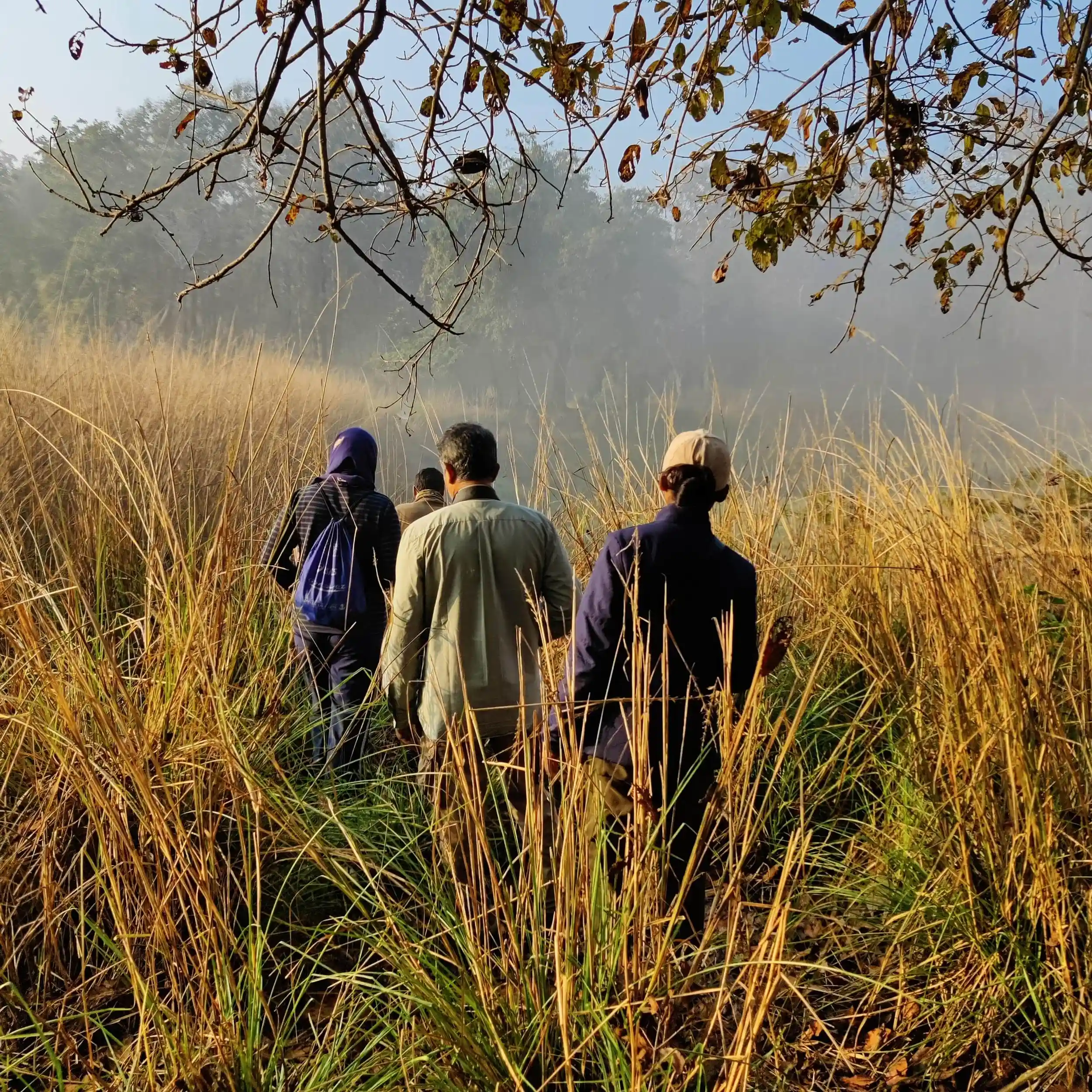 Guests walking through the Satpura landscape