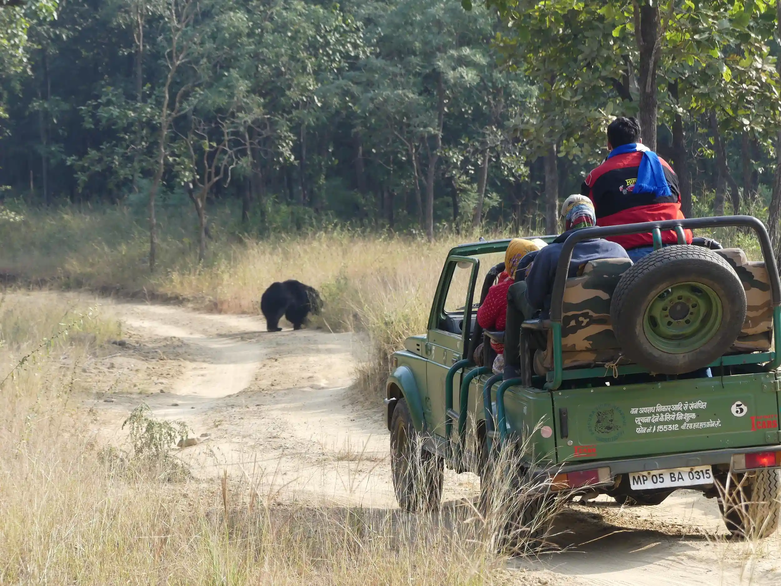 Sloth bear sighting during a Forsyth Lodge jeep safari