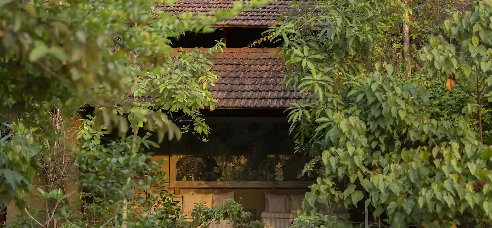 Forsyth Lodge cottage exterior
