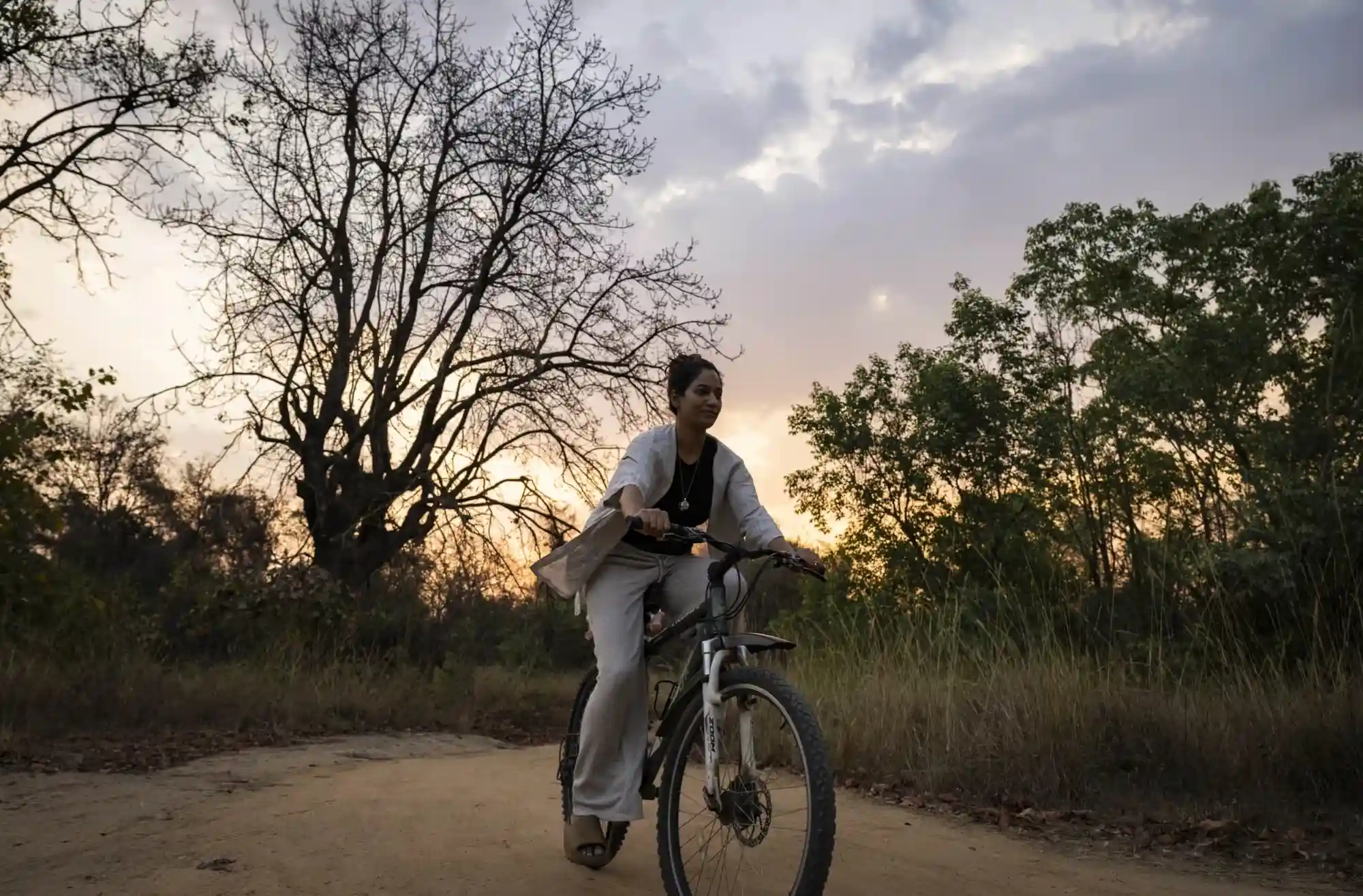 Guest cycling along a forest trail at sunset