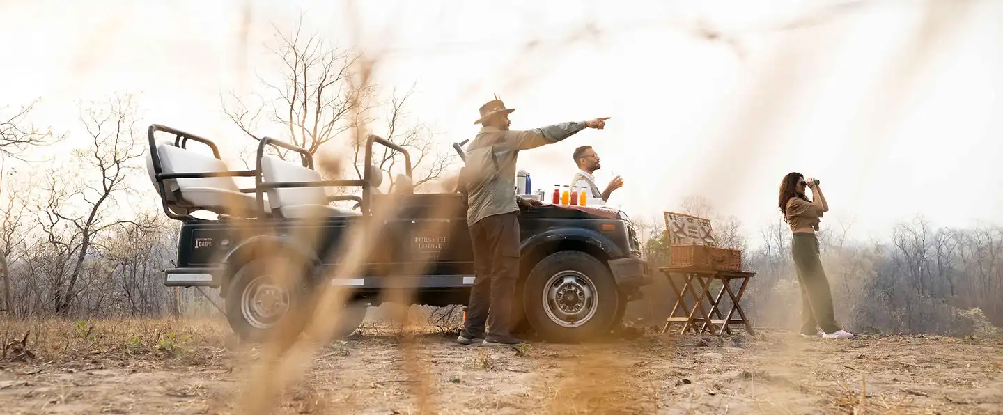 Guests on a safari jeep in Satpura